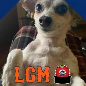 Meet your Posher, Al